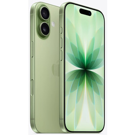 iPhone 17 256Gb Sage (eSIM)