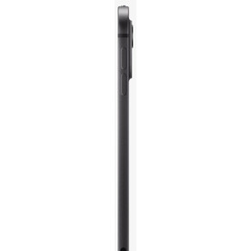 Apple iPad Pro 11 (M5) 2025 12/256Gb Wi-Fi + Cellular Space Black (ME2N4)